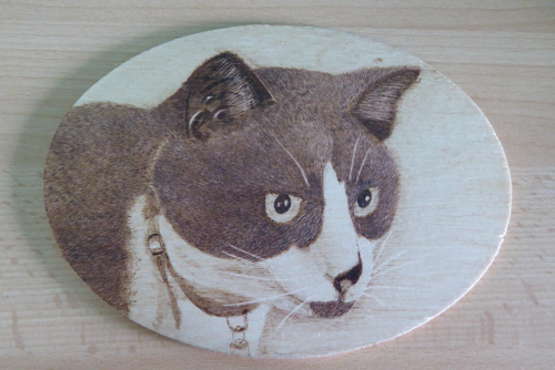 Pyrograph image of Junior a cat